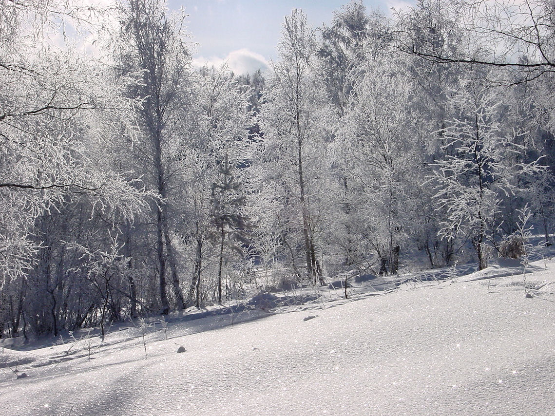 ������� ����������� �����