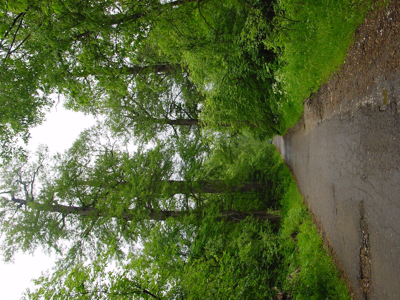 ������ �������