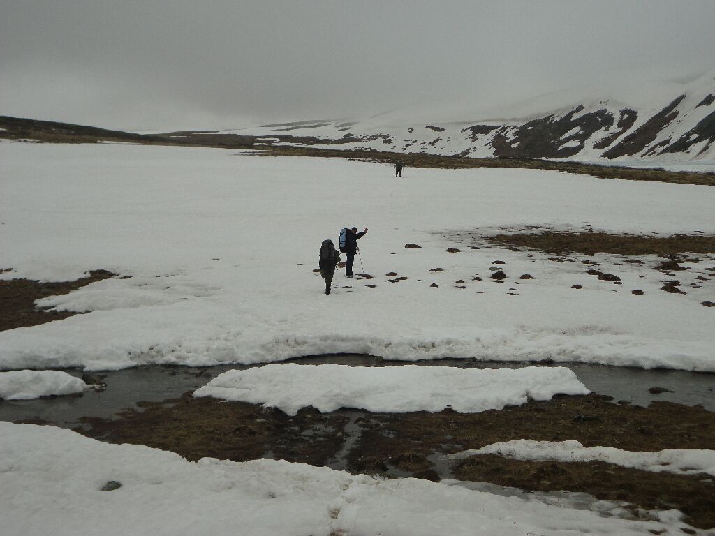 ������� �����