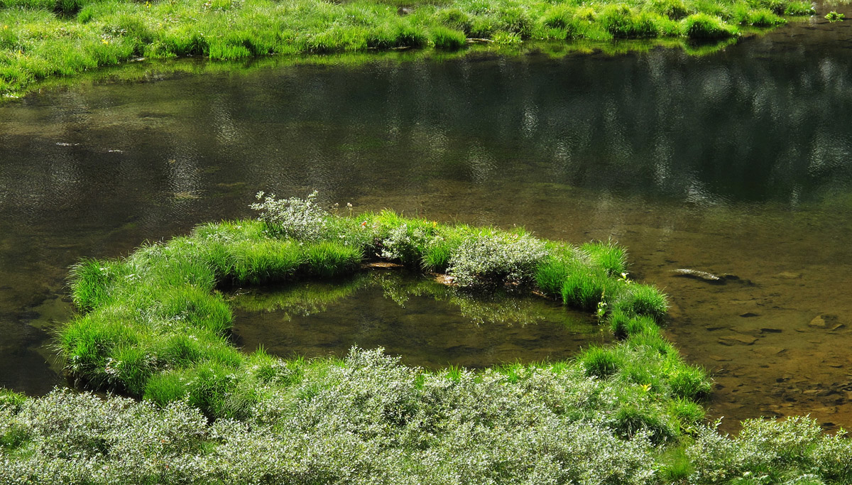 ������ � ���������