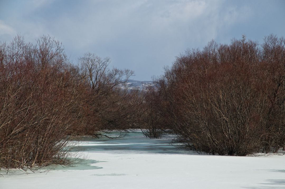 ����� ������, ����� ������