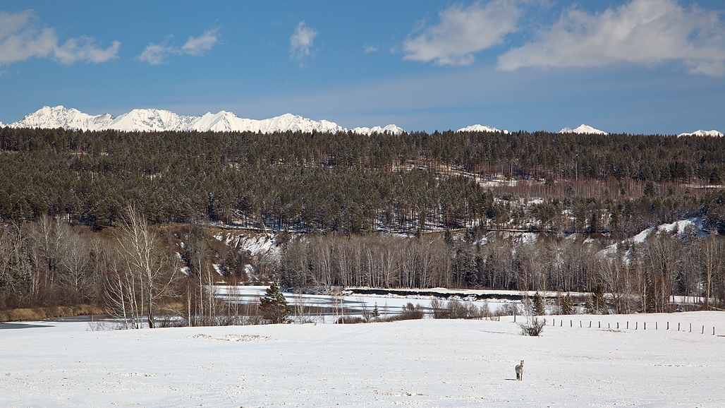 ����� �� �����