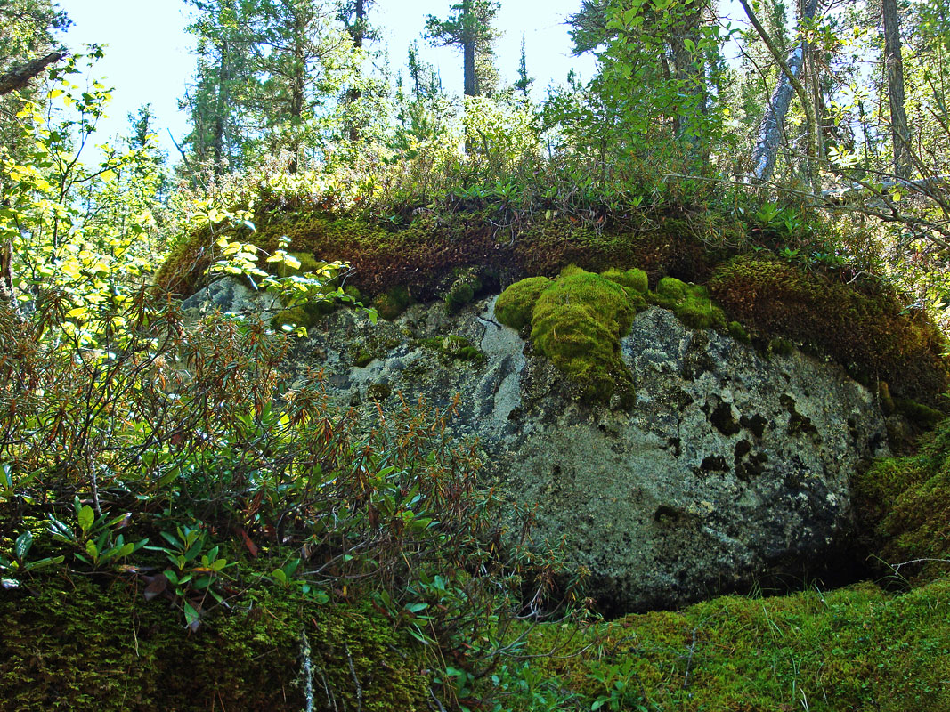 ��������� �������