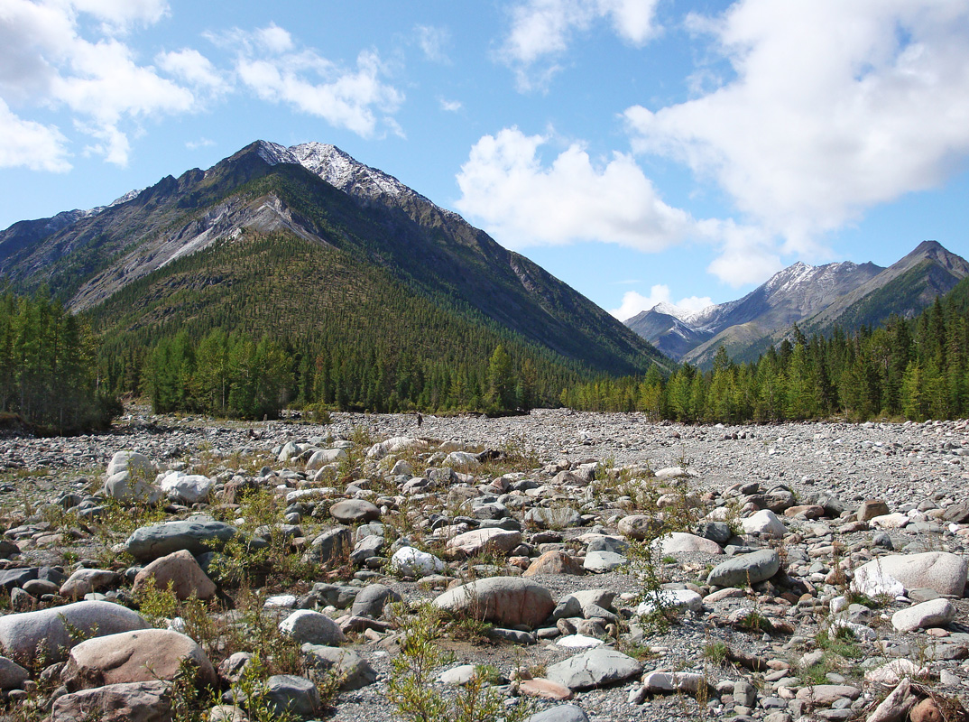 ����� �����