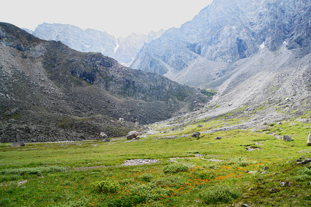 ����� �������