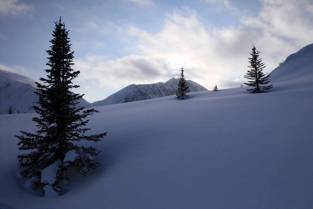 ������ ������� �������