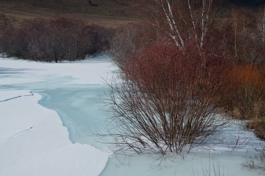 ��������