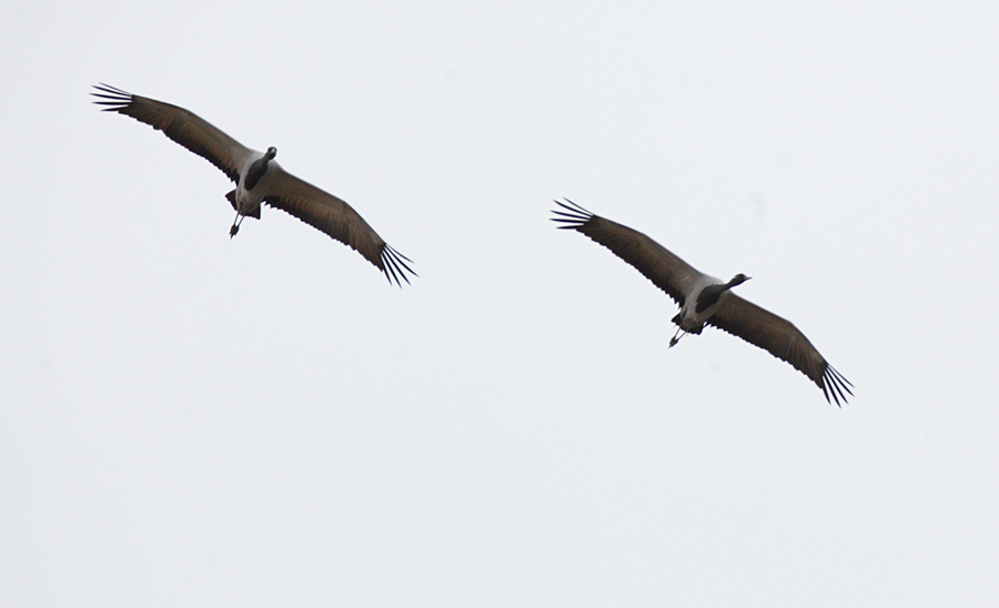 ��� �� � ����