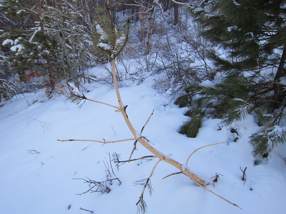 ��� �������� ������?