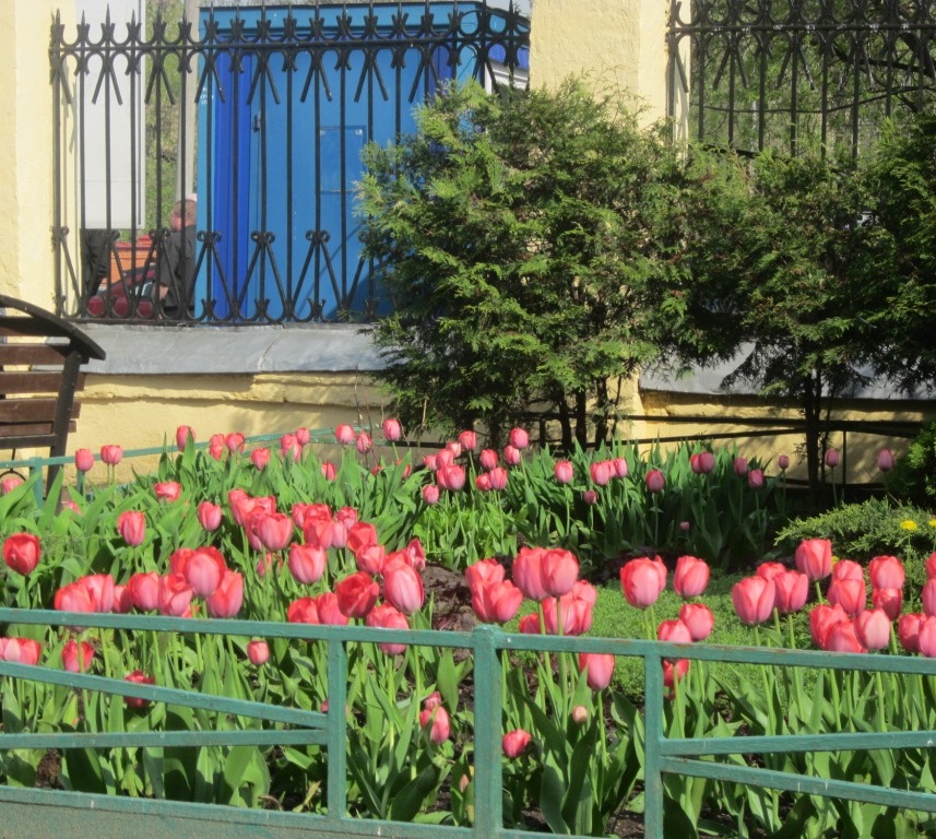 � � ������ ������ ������ ��������...