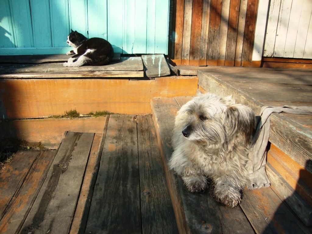 ��������������� �� ��������.