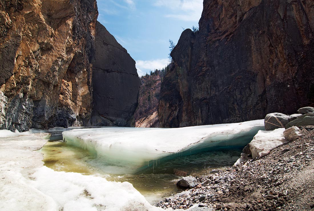 ����� �����-2