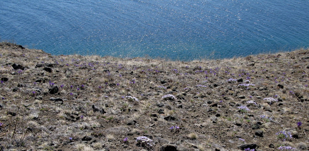 �������� �����.