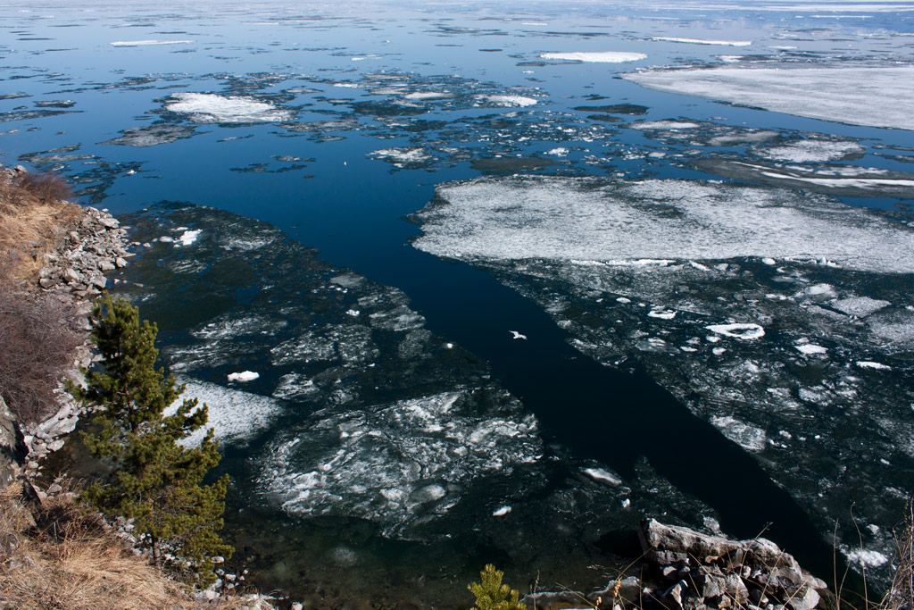 ������� ����.