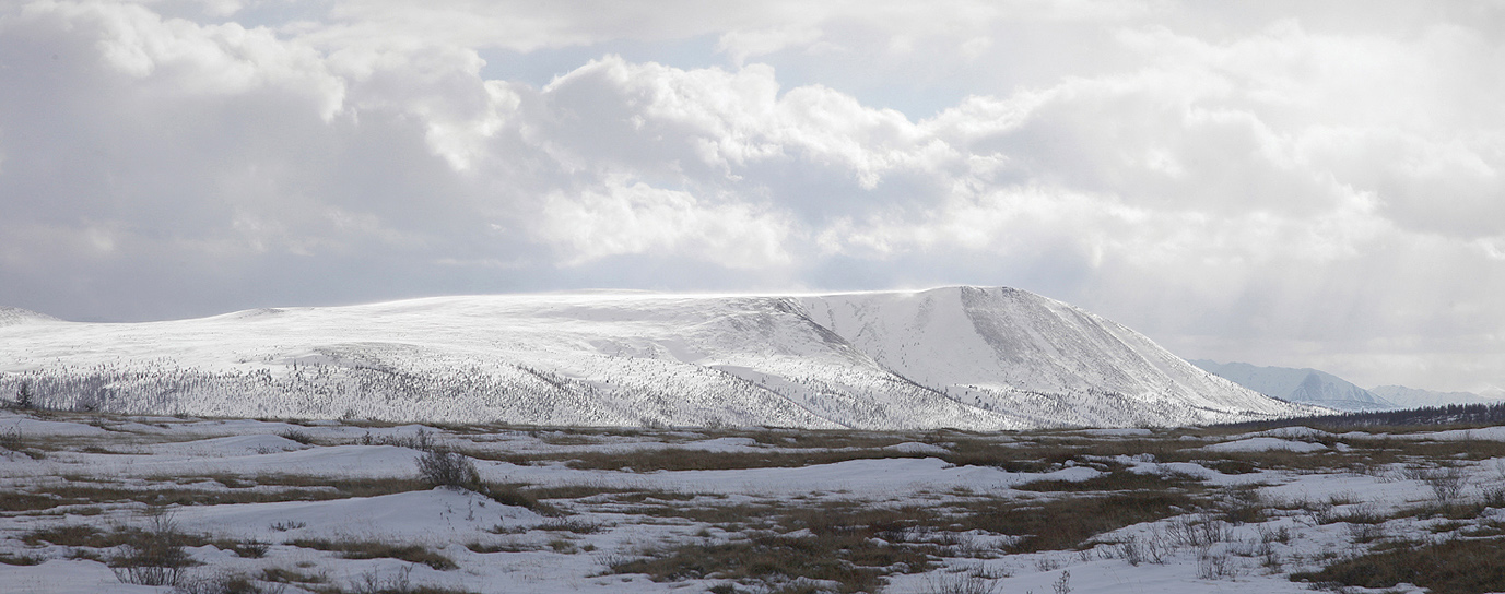 ��������� �����