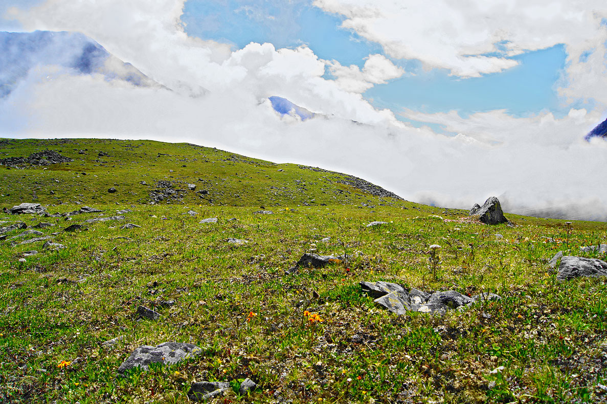 �����������