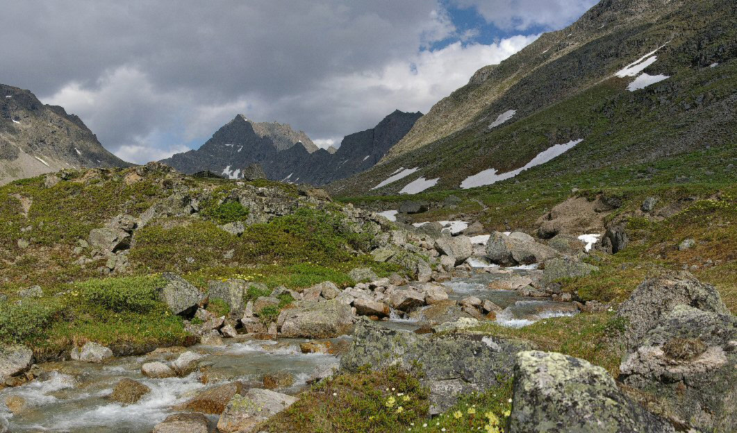 ���� ������