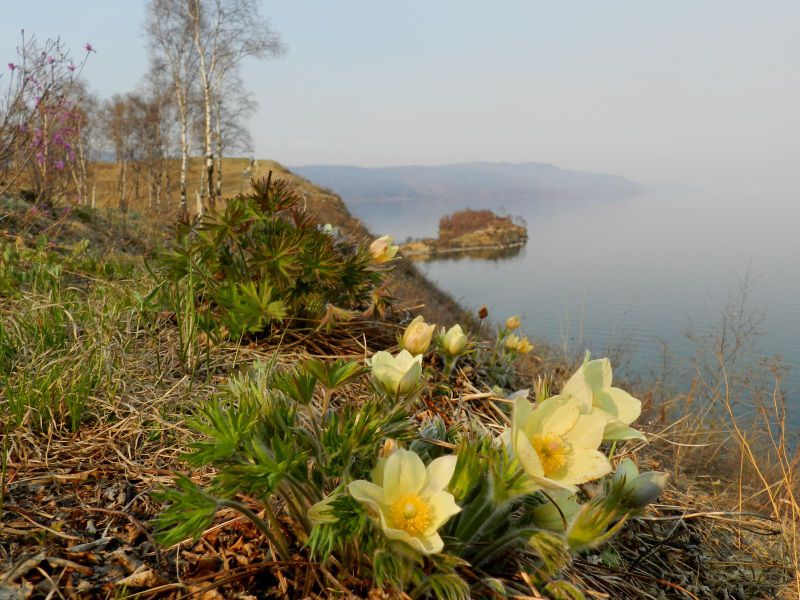 Фото весеннего байкала