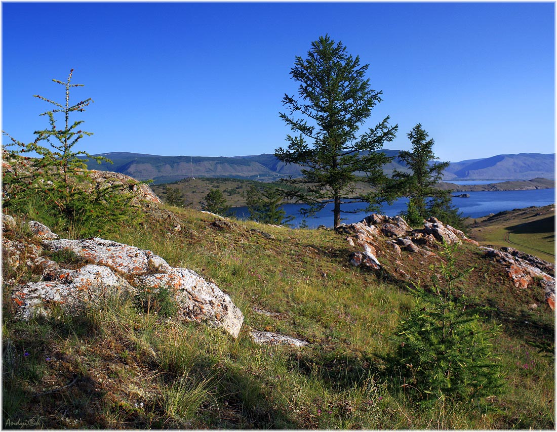 ���� ����������� ������