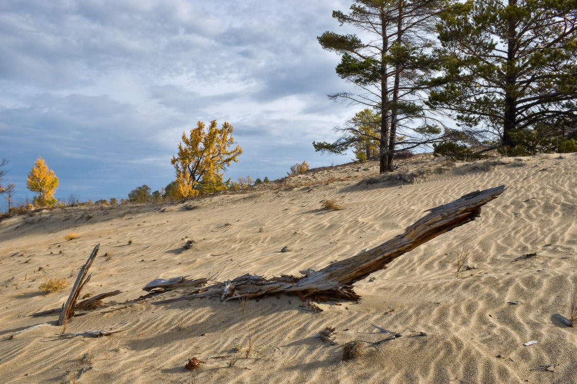 ������� "���������".