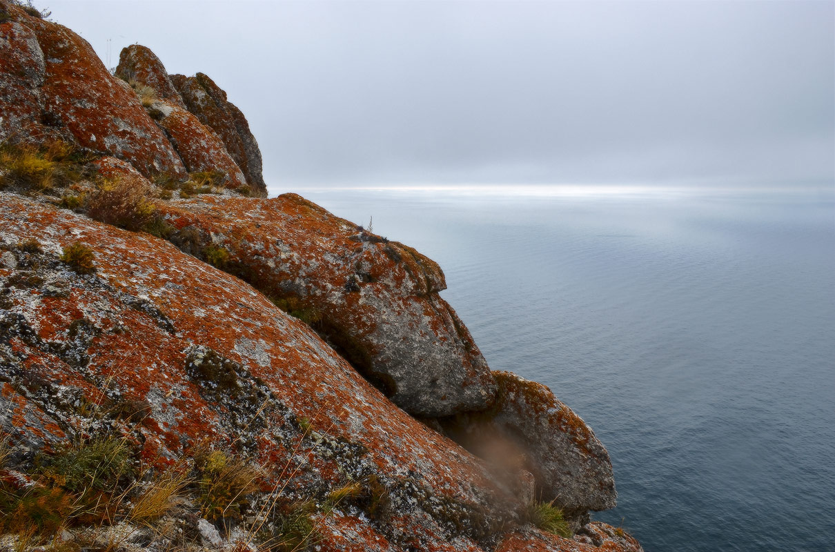 ��� �������...