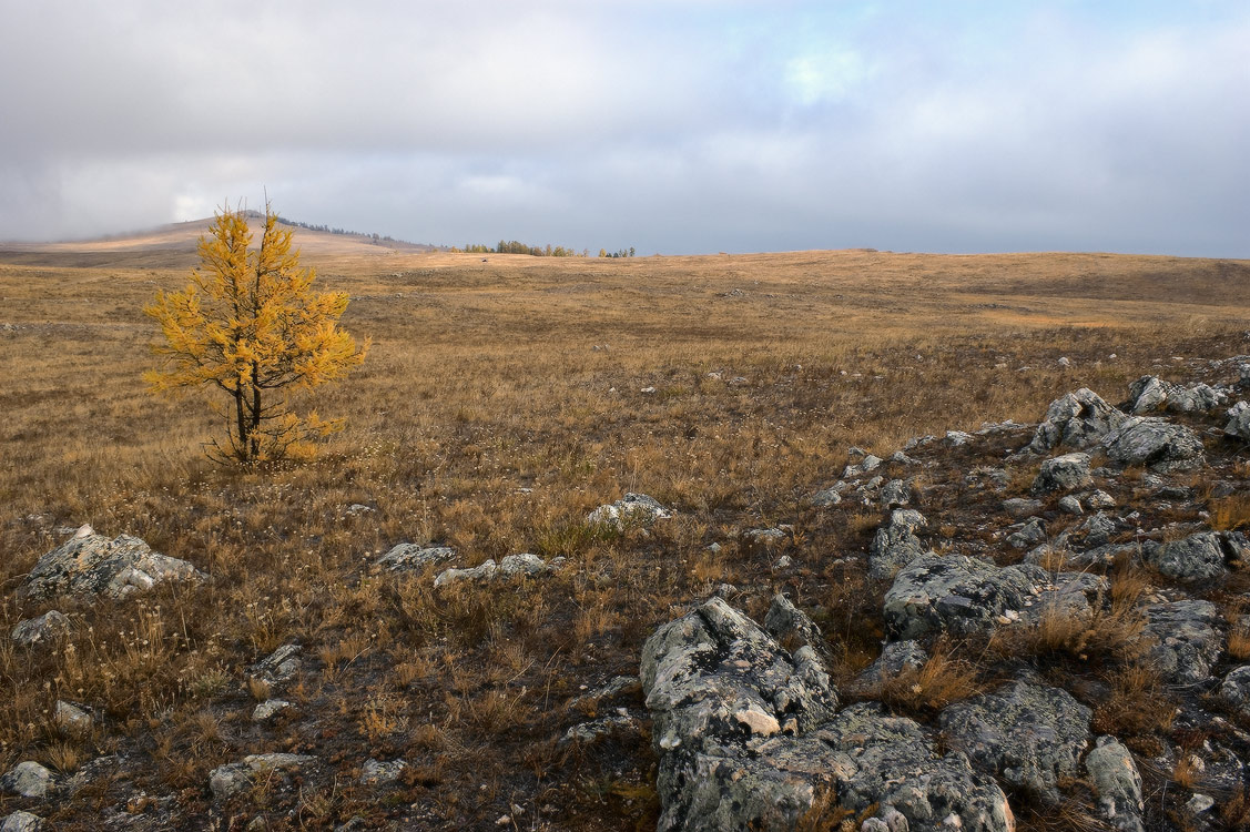 ����������...