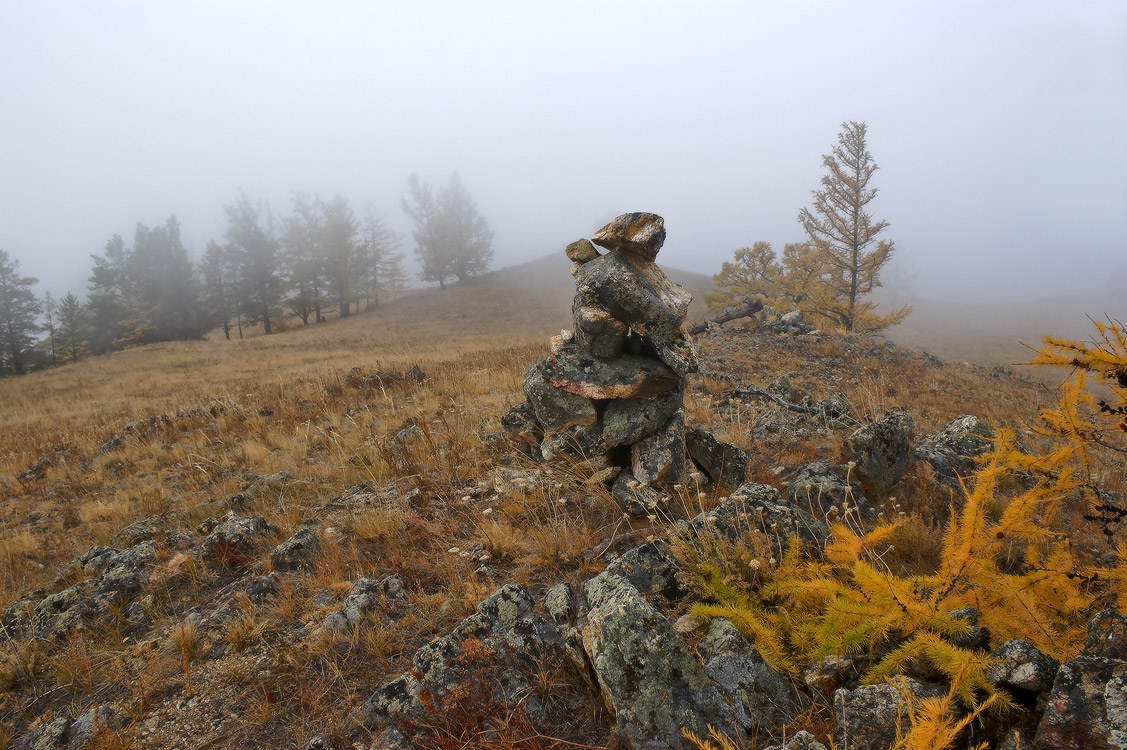 � ��� ������ �����....