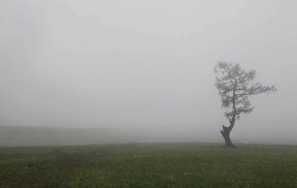 ���-�-�-�-�-�