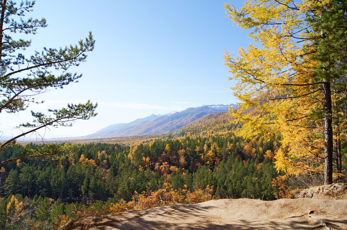 ����� � �����