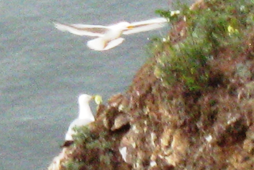 �������� ����