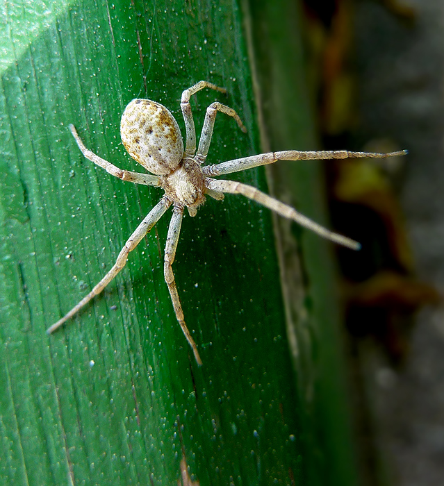 ���������-������ 2