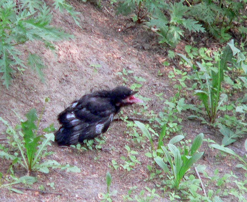 ���������?