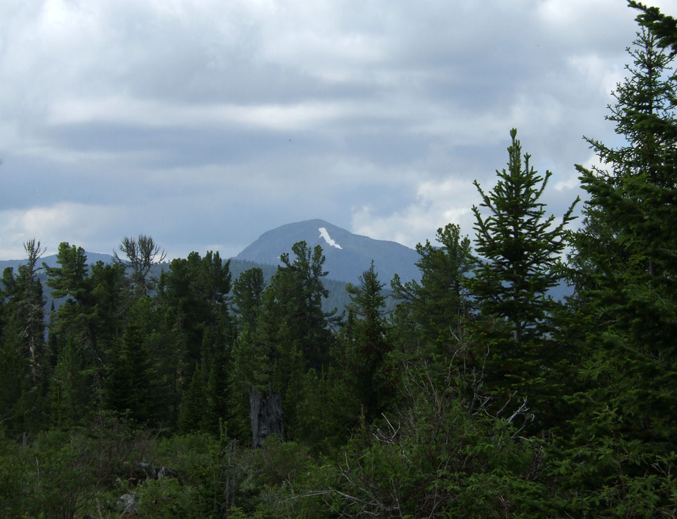 ��� �� ��� ��������