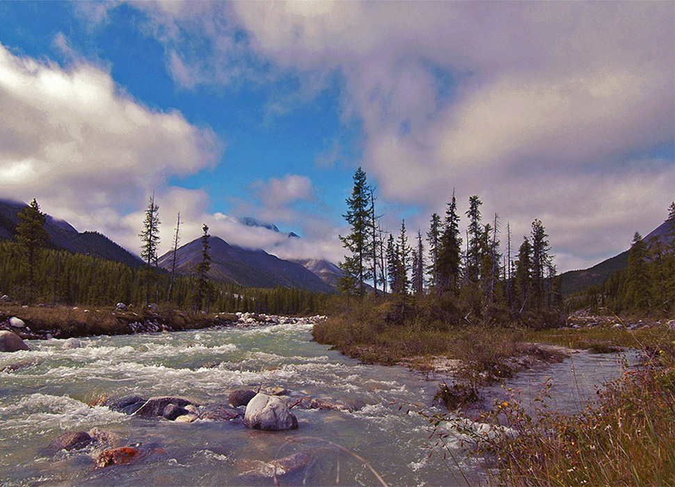 ������ ��� �����