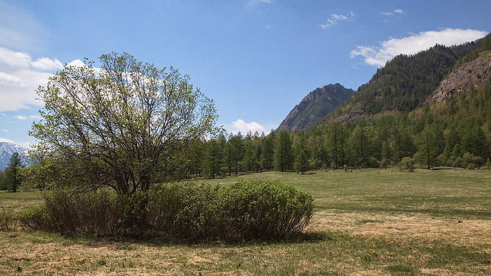 ������ ������� ...