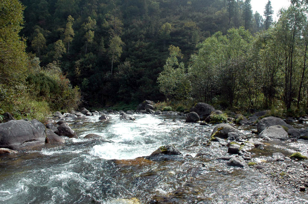  Река Бабха
