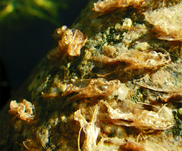 "������" ��������� ����������