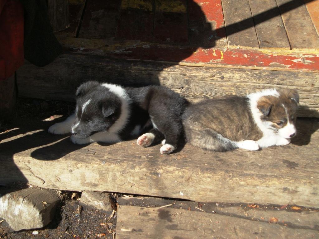 �����������