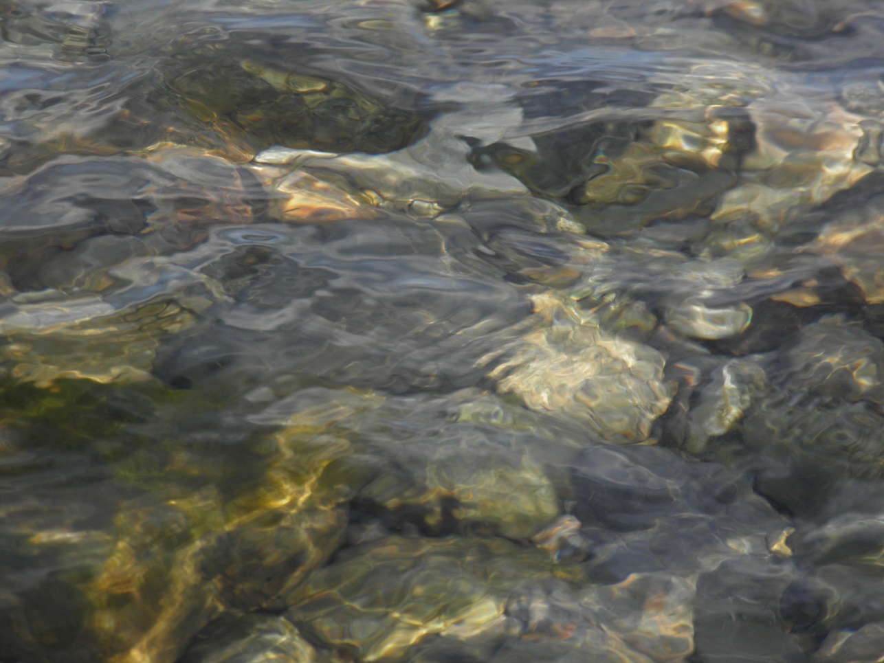 ����� �������