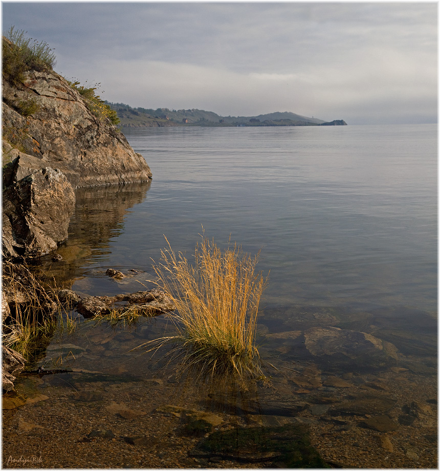 ���� �������