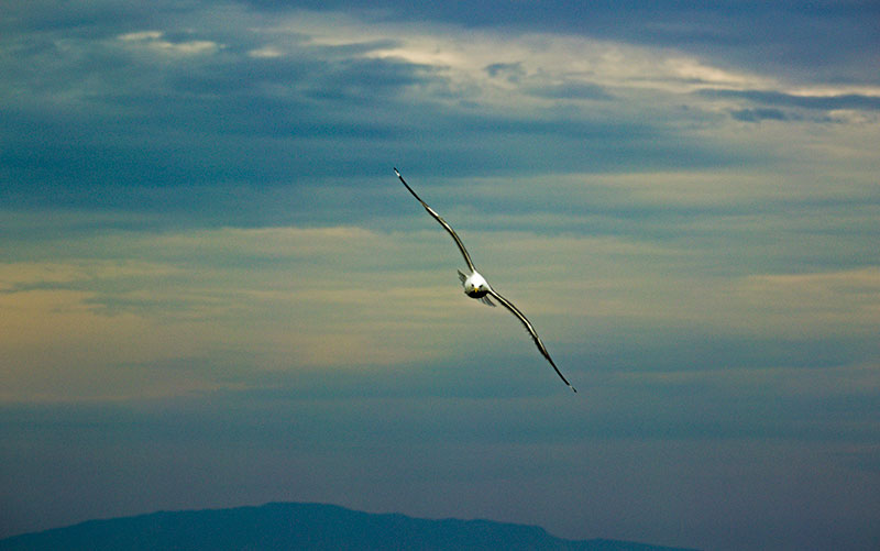 ��� �� �����.