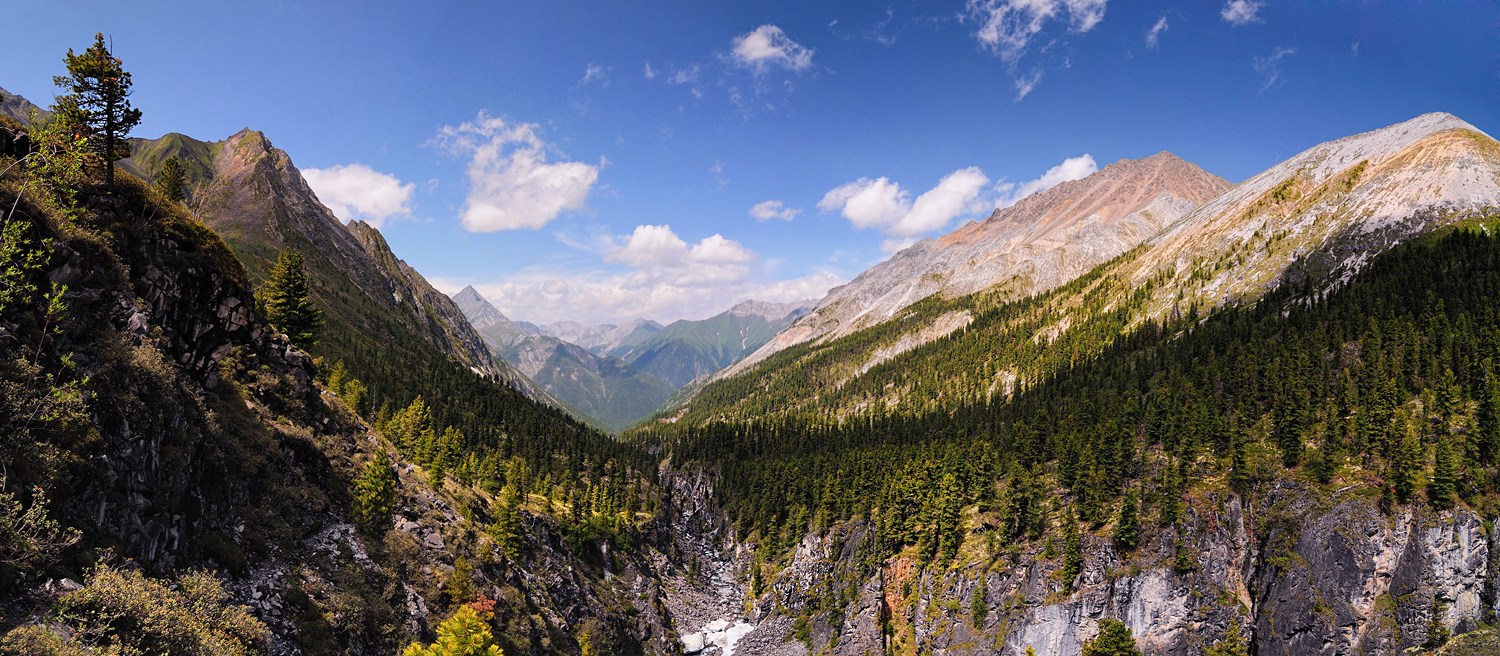 ��� �������� �����������