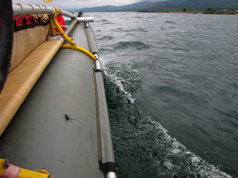 ���-����!