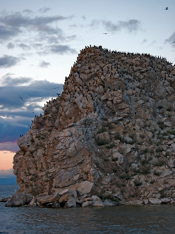 �� �������� ����� ��� ����� �������.