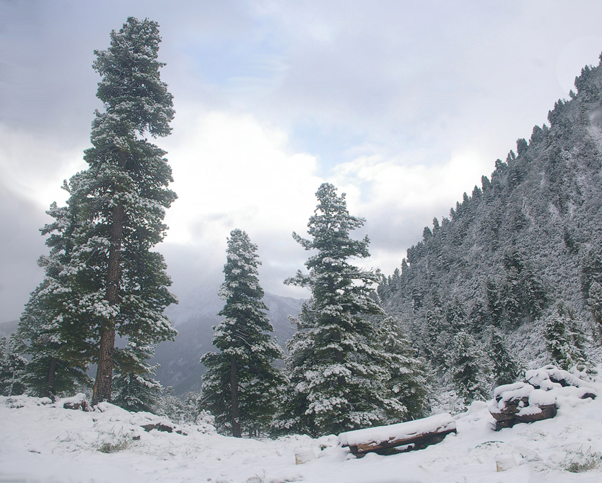 ������������ ������