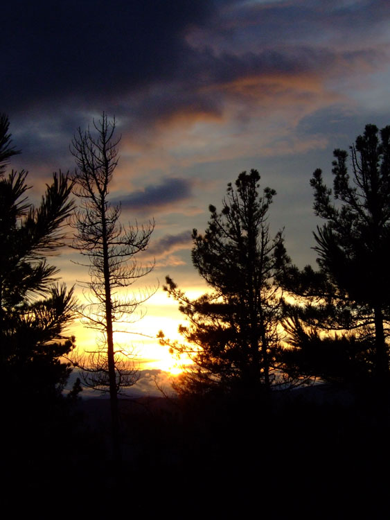 ������ ����� ��������