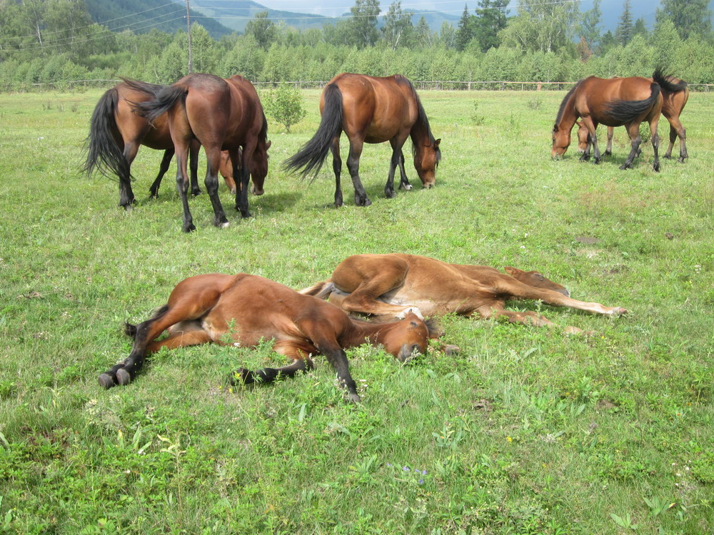 ��������� ��������� �����...