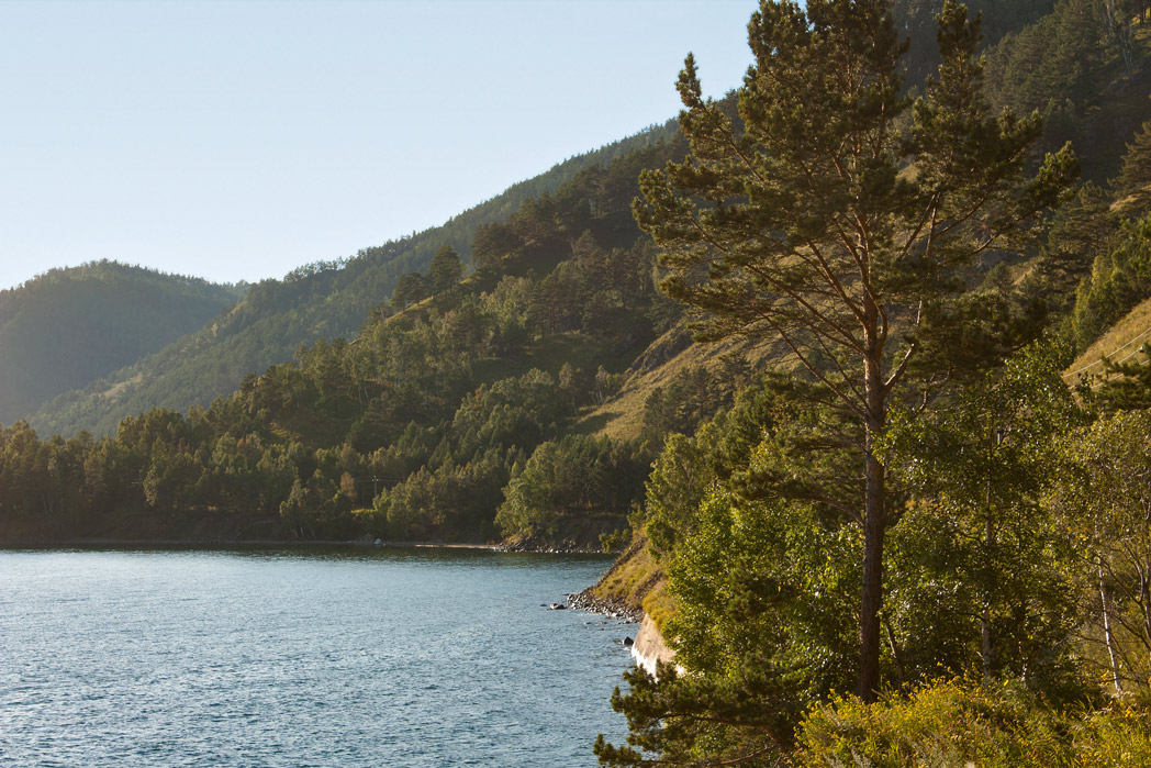 ����� ����� �����.