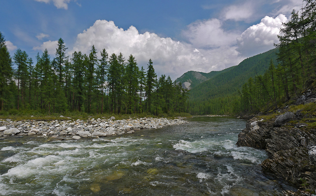 �������� �����