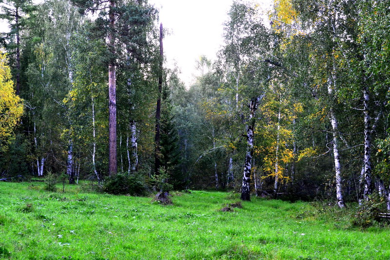 ����� �����